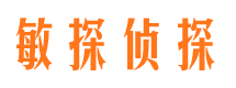 凉山市侦探公司